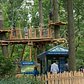 Get Going: The Bronx Zoo's Treetop Adventure