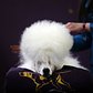 A standard poodle named Paris has his hair done at the Westminster show on February 16, 2015. The show is described as the second-longest continuously running sporting event in the United States. It included 192 dog breeds and drew nearly 3,000 global competitors.
