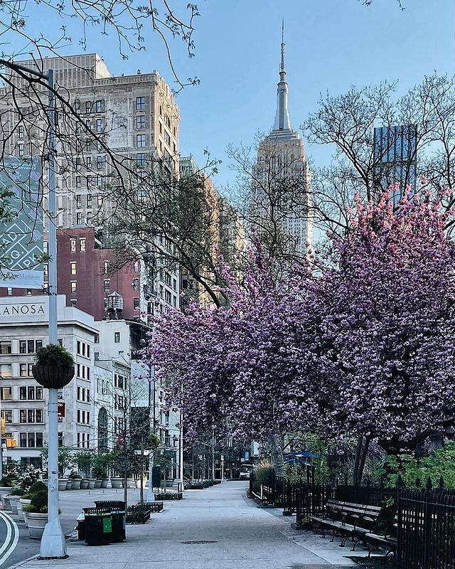 Madison Square Park, Flatiron District, Manhattan