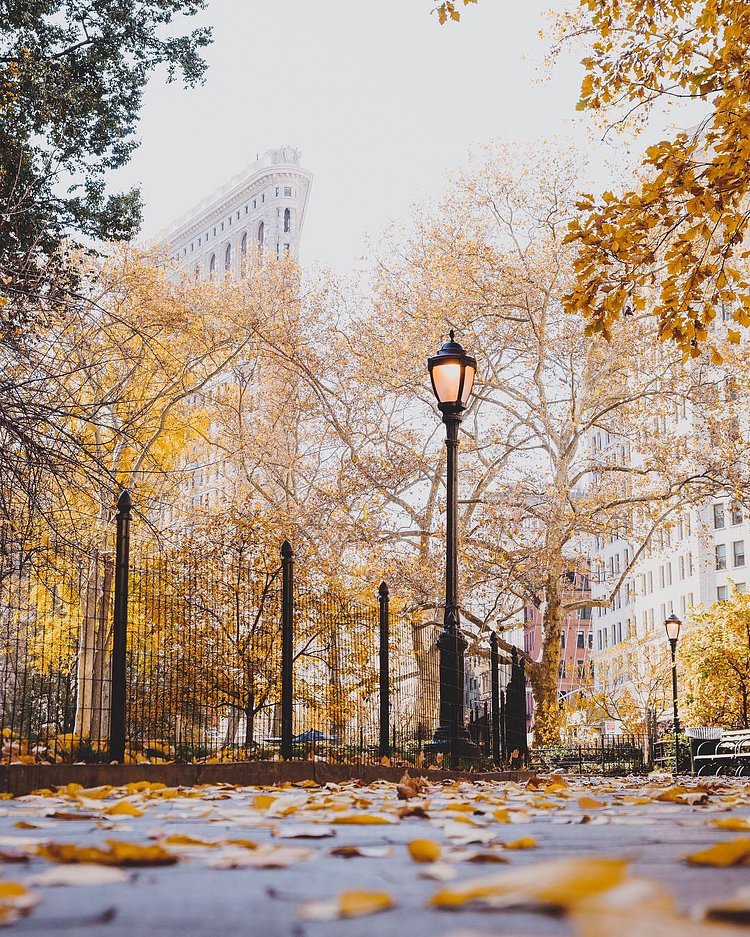 Fall is on its way out the door... windchill is predicted to be -11°F on Friday, yikes!