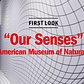 First look: "Our Senses" at the American Museum of  Natural History