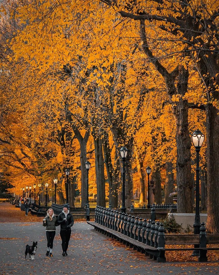 The Mall in Central Park, Manhattan