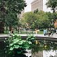 Madison Square Park, Manhattan