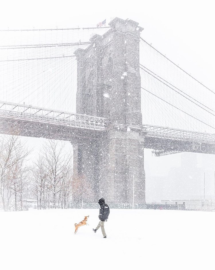 Brooklyn Bridge Park, DUMBO, Brooklyn