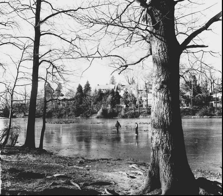 Cameron's pond in Grasmere, Circa 1981.