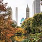Central Park, New York, New York