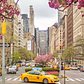 Park Avenue, Midtown, Manhattan