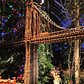 The "Barklyn Bridge". It's the 24th annual Holiday Train Show at the NY Botanical Garden. Step into a mini-NYC made out bark and other natural materials where enchanting model trains zip past 150 iconic buildings with familiar sights such as the Brooklyn Bridge, Statue of Liberty and Rockefeller Center. The Holiday Train Show is ongoing until January 18, 2016. The All-Garden Pass Pricing (Garden access + train show) is $30 for adults on weekends and holidays.  The NY Botanical Garden is located at 2900 Southern Boulevard Bronx, NY. 
NYC livin' one weekend at a time. Checkout #Discoverue.com for more ideas. Photo by @cutenesscurator.