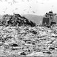 A 'Compactor' pulls up along side of a freshly dropped pile of garbage at the landfill. Circa 1996.
