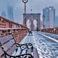 Snow on the Brooklyn Bridge