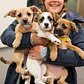 Mixed breed puppies – Just adopted from @humanesocietytt. Visit hstt.org for more adoptable dogs in the Truckee-Tahoe, CA area