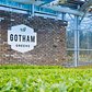 New Yorkers can now look forward to even more fresh, locally-grown veggies thanks to Gotham Greens‘ new rooftop farm in Hollis, Queens. The 60,000-square-foot greenhouse is the urban agriculture company’s third and largest growing facility in New York City and will allow the Brooklyn-based brand to triple their high-quality, pesticide-free produce production in the New York region.
