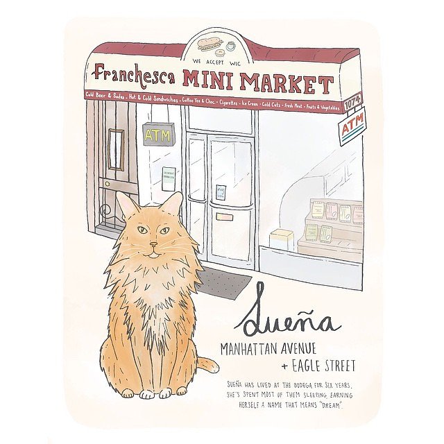 Sueña // Greenpoint
#greenpoint #brooklyn #brooklynbodegacats #bodegacatsofinstagram #catsofinstagram #bodegacats
