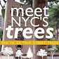 Meet NYC's Trees: Gingko