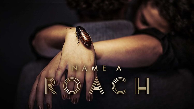 Bronx Zoo's "Name a Roach" Event