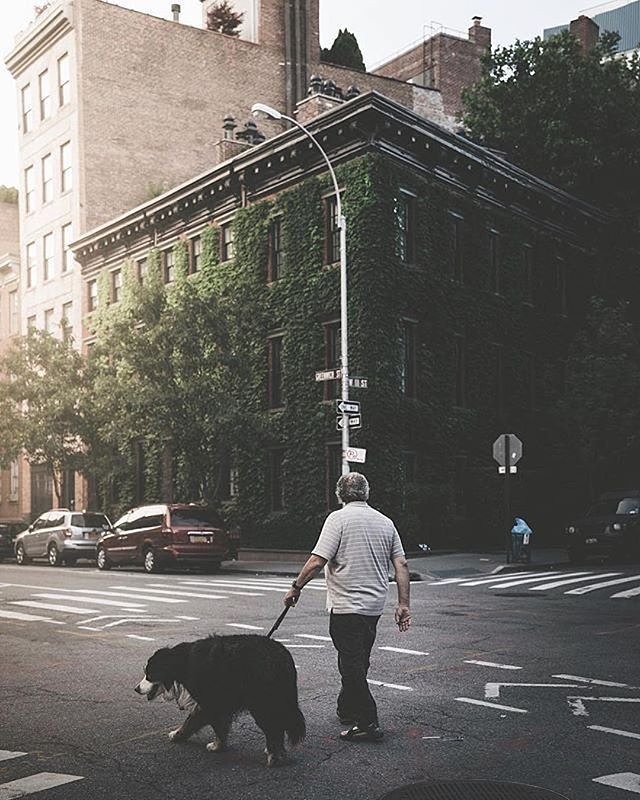 New York, New York. Photo via @arin.nyc #viewingnyc #newyorkcity #newyork