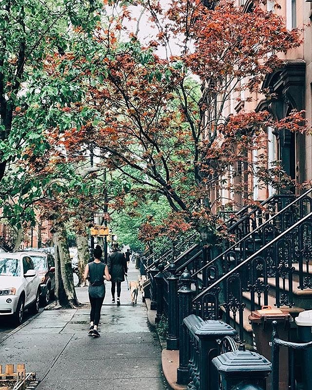 Cobble Hill, Brooklyn. Photo via @melliekr #viewingnyc