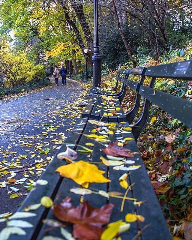 Central Park, New York. Photo via @newyorkcitykopp #viewingnyc #newyorkcity #newyork #nyc