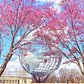 The Unisphere, Flushing Meadows—Corona Park, Queens
