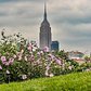Empire State Building, New York, New York. Photo via @eyecatchingphoto #viewingnyc #newyorkcity #newyork