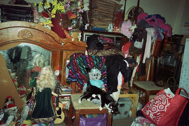 “On Christmas I photograph my cat and I dance with my cat.”