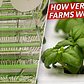 How a Vertical Farming Company Grows 80,000 Pounds of Produce per Week — Dan Does