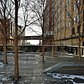 Benches in the Sky | A winter view from the aerial greenway of New York City. Look closely and behind this High Line seating area you can find the Statue of Liberty in the sunshine. 