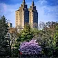 Central Park, Manhattan