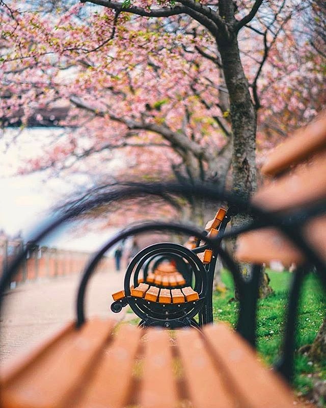 Photo via @thewilliamanderson 
#viewingnyc