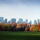 Fall in Central Park
