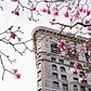 Flatiron Building, New York, New York