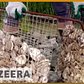 🗽 Bringing a billion oysters back to New York harbor | Al Jazeera English