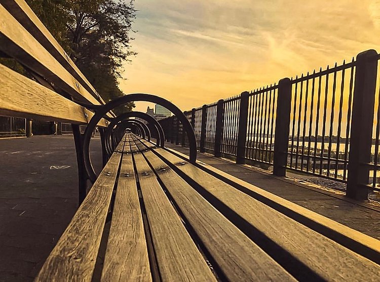 Benches on the Brooklyn Heights Promenade