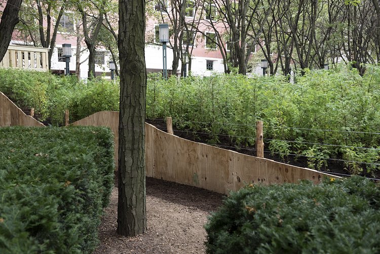 Lost Man Creek, Spencer Finch, 2016