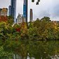 Central Park, Manhattan
