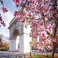 Washington Square Park, Greenwich Village, Manhattan