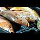 How Fish Gets to Restaurants: A Look at F Rozzo and Sons | Potluck Video