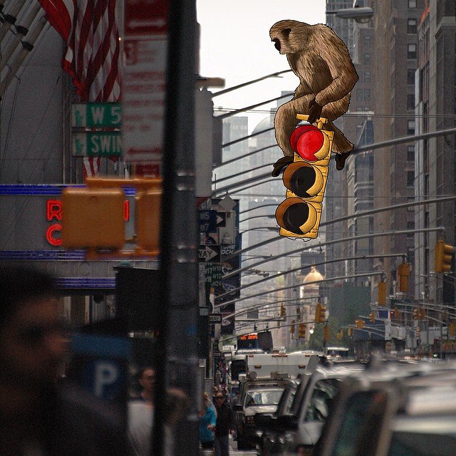 "That is my traffic light, capish ?"
🐒🚦 Photo by @tosemjalinda 's daddy