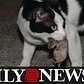 Feral Cats Have Been Dispatched In New York City To Help Control The Rats