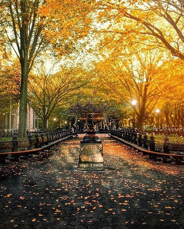 New York, New York. Photo via @gina_brake_photography_nyc #viewingnyc #newyorkcity #newyork #nyc