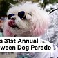 The Best of NYC's Halloween Dog Parade
