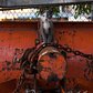Thomas, a feral kitten, atop an NYC snow plow. The cats live in an industrial area near a NY Sanitation garage in Sunset Park, Brooklyn. The facility welcomes the cats' presence as a natural combatants against the rat population, a strategy once deployed by the city at large under Mayor Bloomberg.