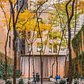 Paley Park, Midtown, Manhattan