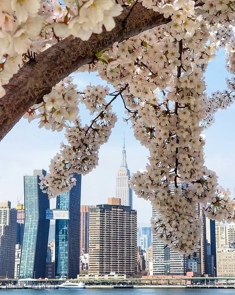 Midtown, Manhattan from Long Island City, Queens