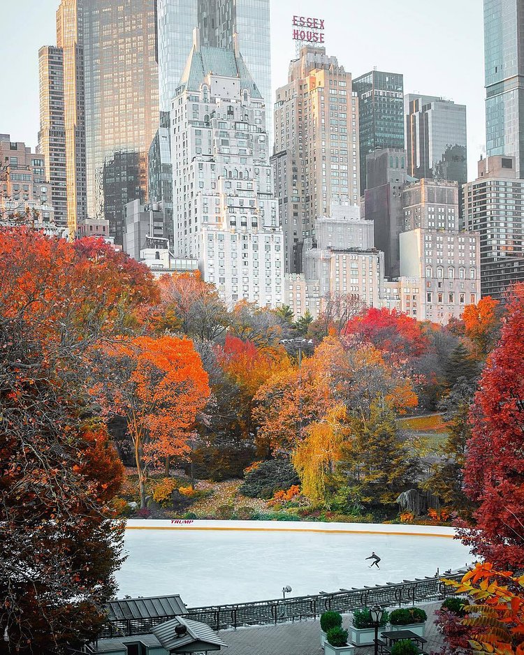 Central Park, New York, New York
