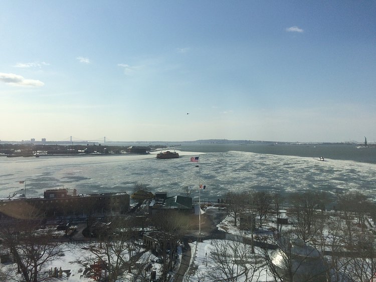 Icy Harbor today (2/15/15)