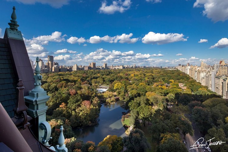 The terrace of Tommy Hilfiger's dome penthouse at The Plaza, overlooking Central Park