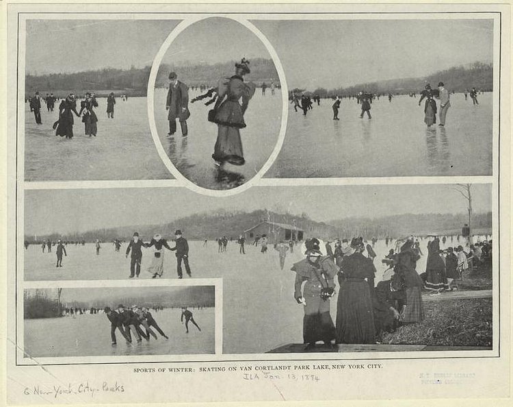 Art and Picture Collection, The New York Public Library