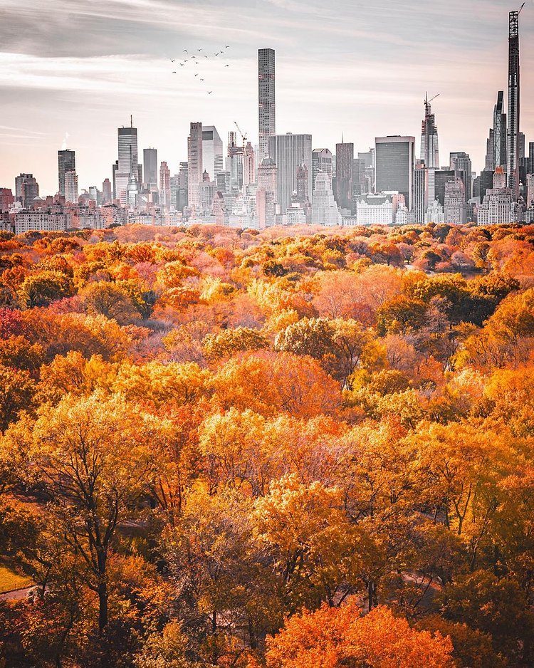 Central Park, Manhattan