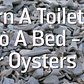Turn A Toilet Into A Bed - For Oysters